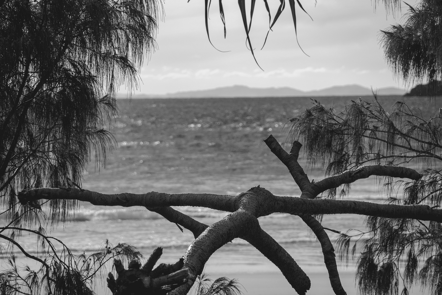 Cape Byron Light